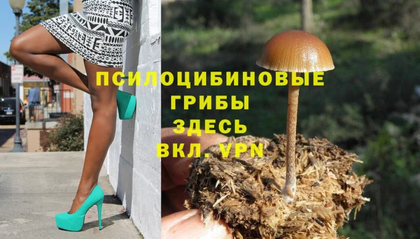 ГАЛЛЮЦИНОГЕННЫЕ ГРИБЫ Верея