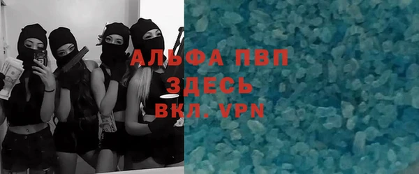 ГАЛЛЮЦИНОГЕННЫЕ ГРИБЫ Верея