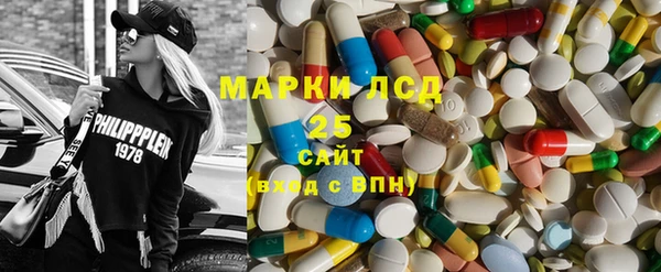 ГАЛЛЮЦИНОГЕННЫЕ ГРИБЫ Верея