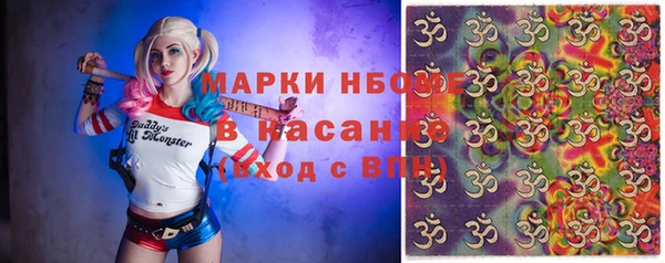 ГАЛЛЮЦИНОГЕННЫЕ ГРИБЫ Верея
